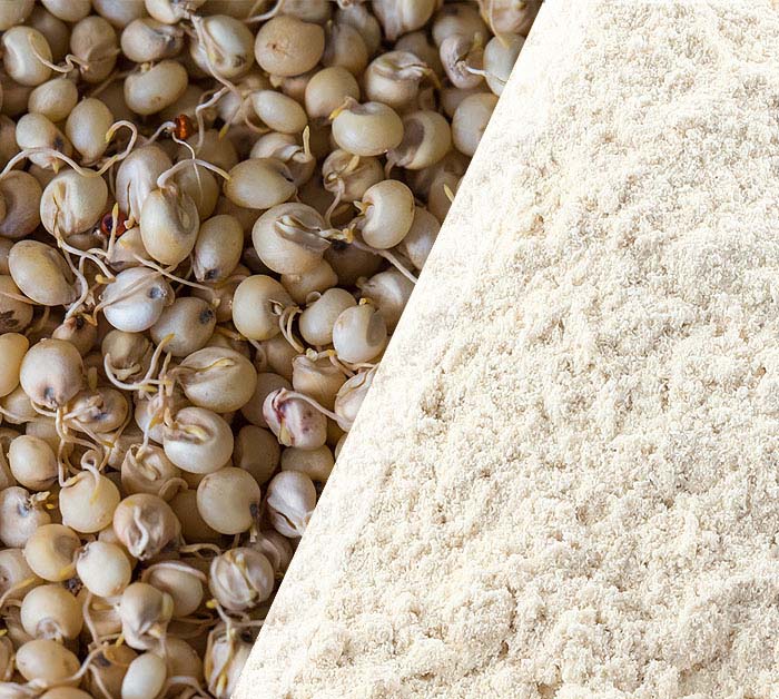Sprouted jowar (sorghum) flour