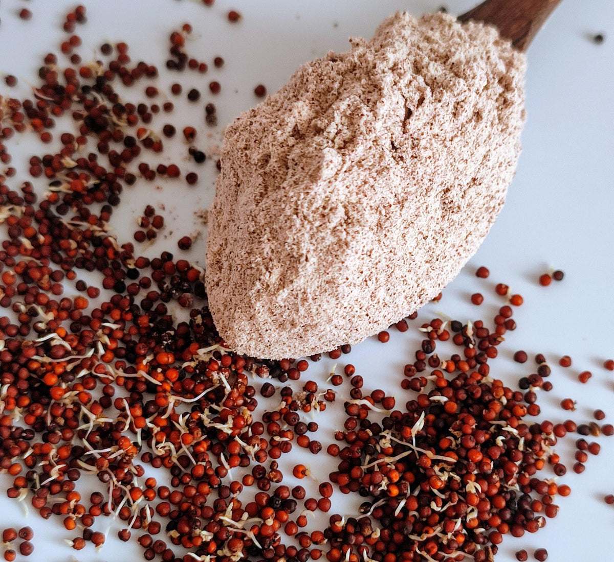 Stone-ground sprouted ragi flour