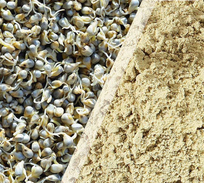Stone-ground sprouted bajra flour